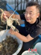 阳澄湖大闸蟹之乡以“蟹的walk”迎八方客